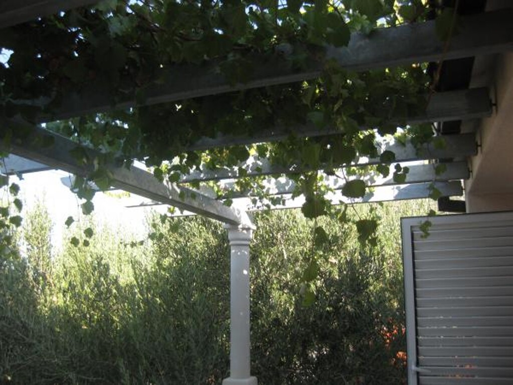 Image 3812613 - 8