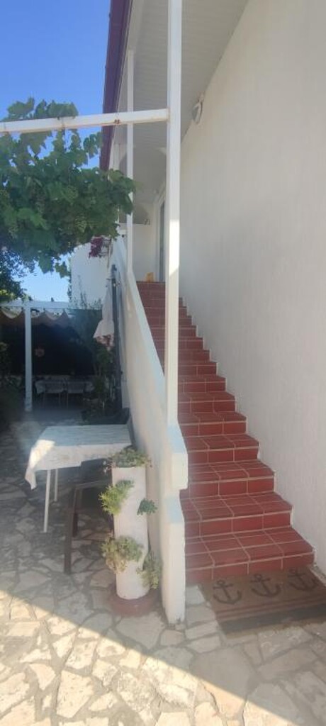 Image 3813511 - 12