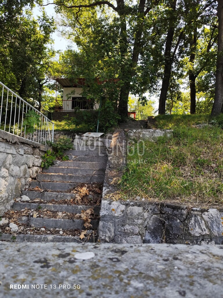 Image 6109096 - 9