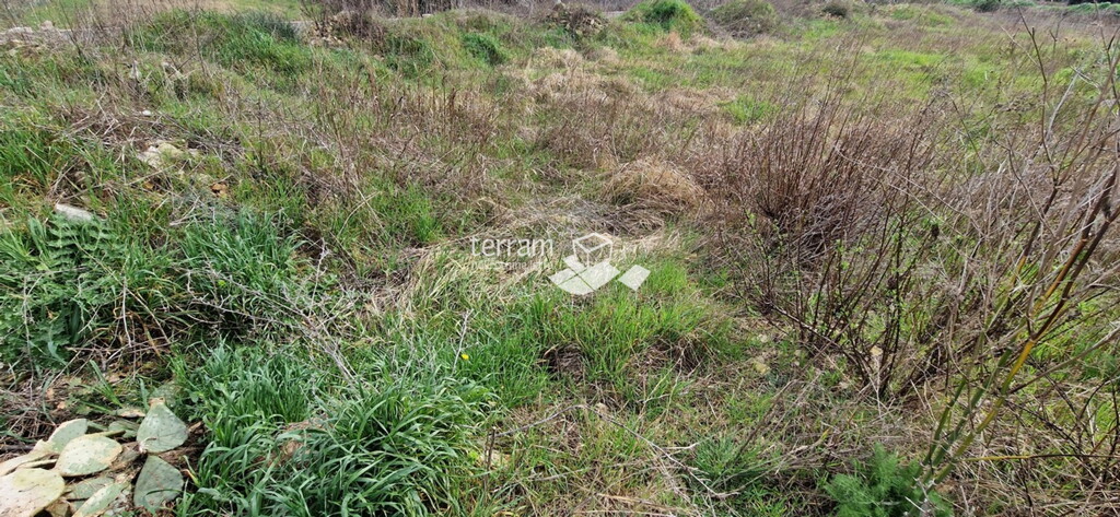 Image 13