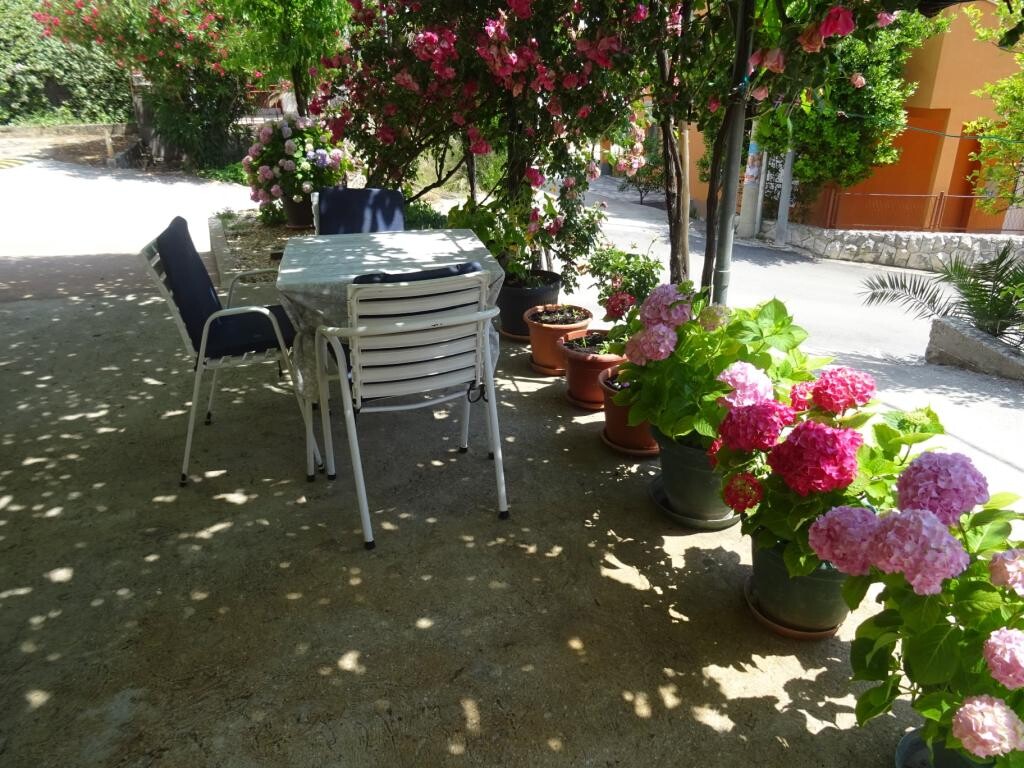 Image 3832259 - 5