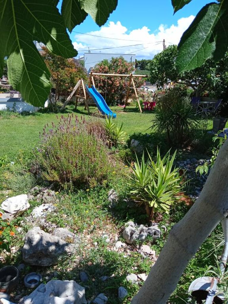 Image 27