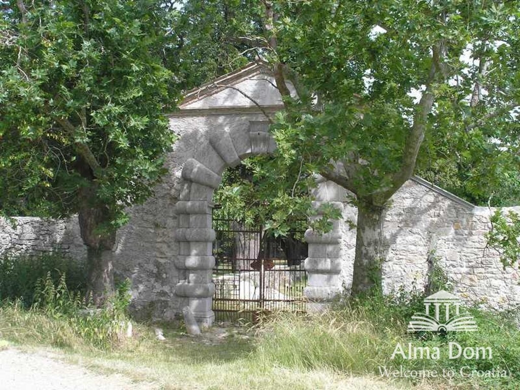 Image 8