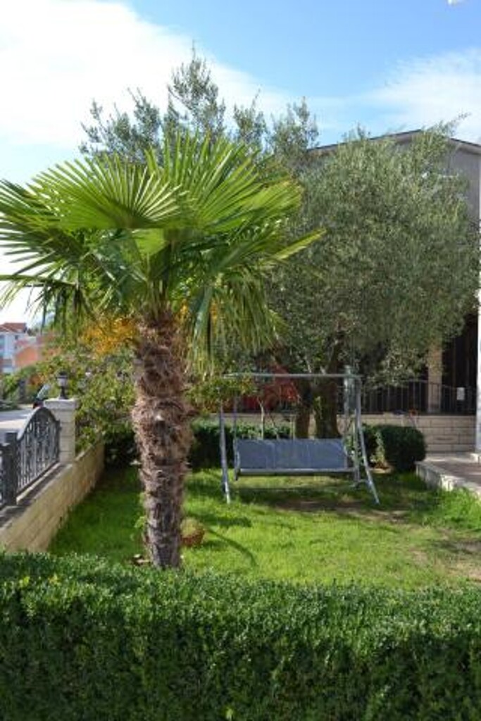 Image 3811244 - 16