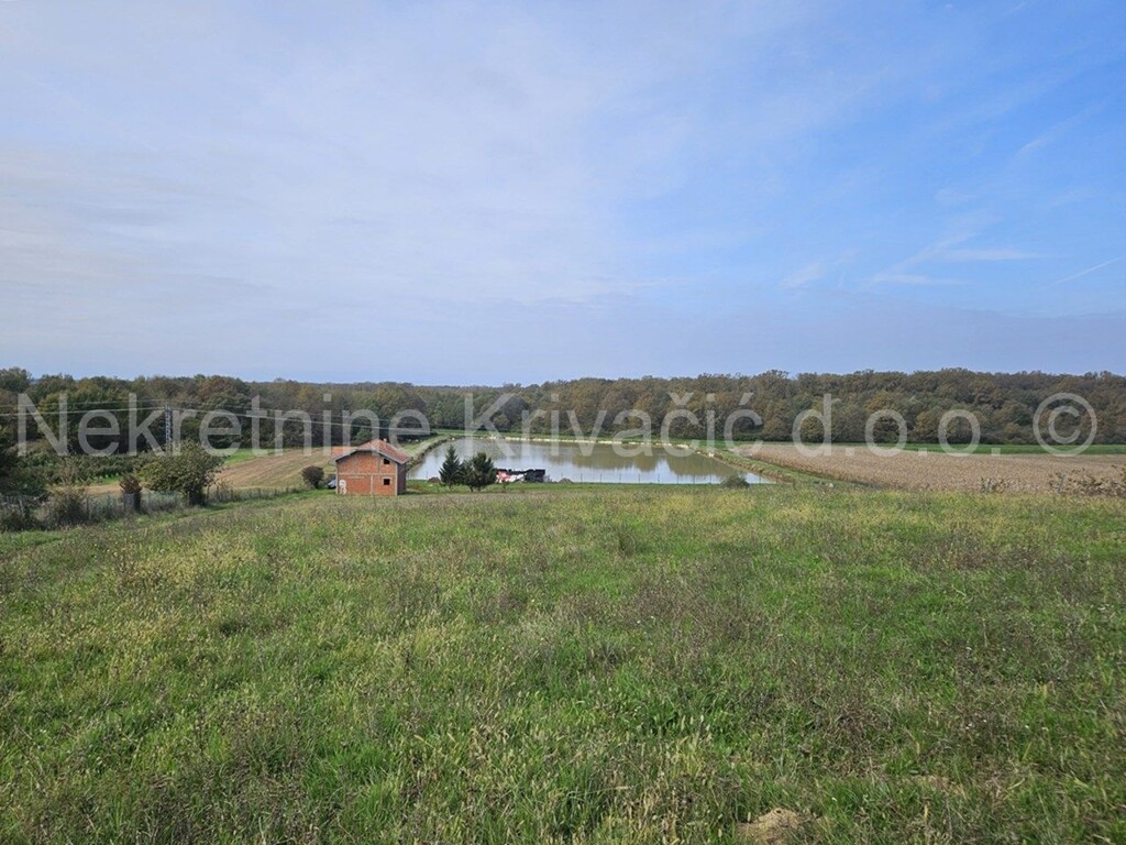 Image 6164305 - 2