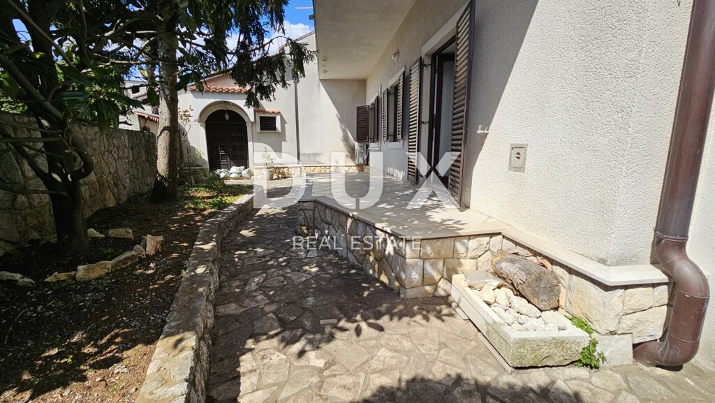 Image 13