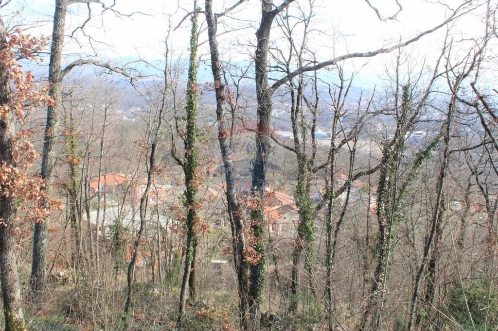 Image 5410097 - 5