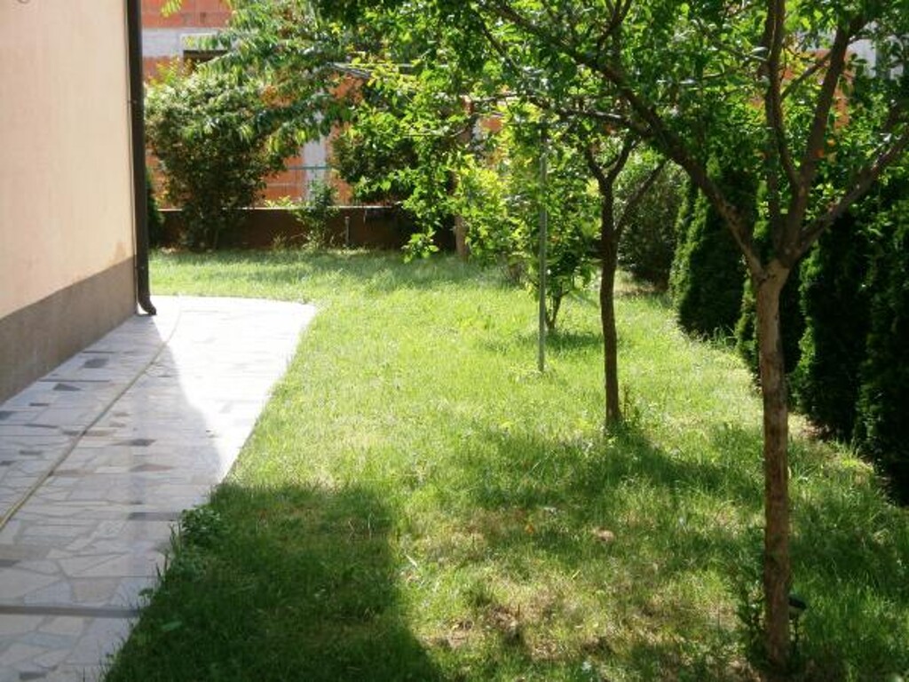 Image 3811332 - 14