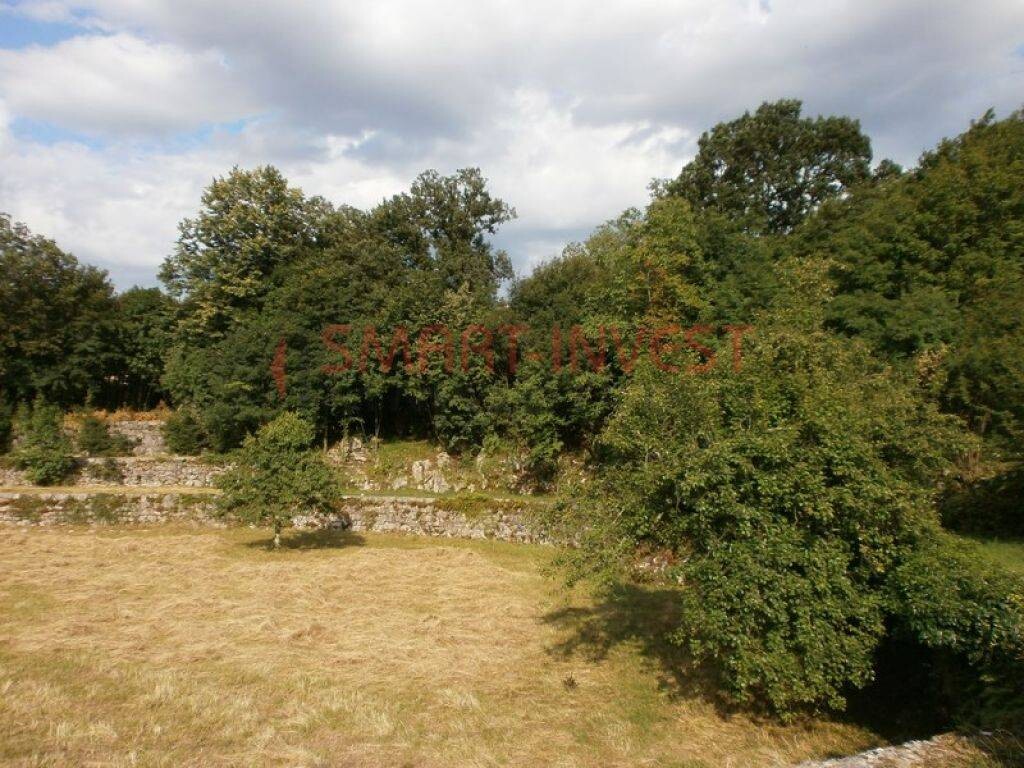 Image 20