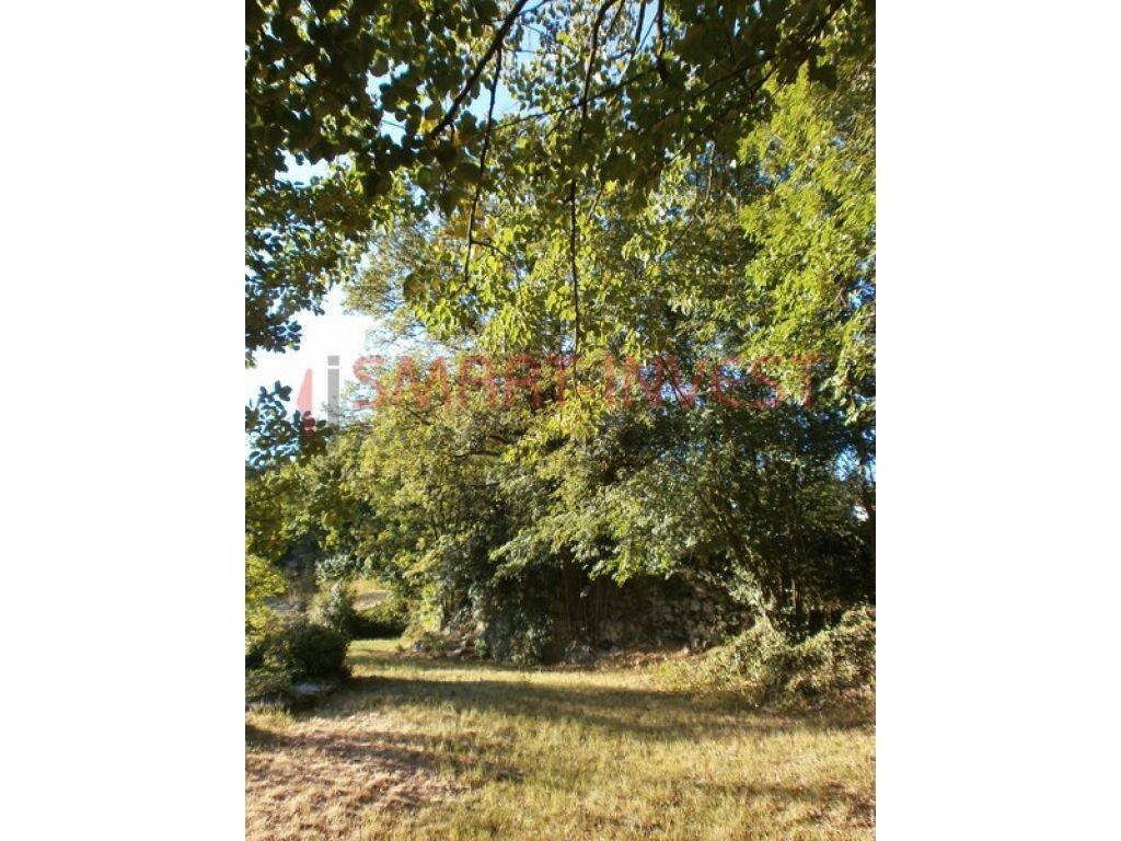 Image 14
