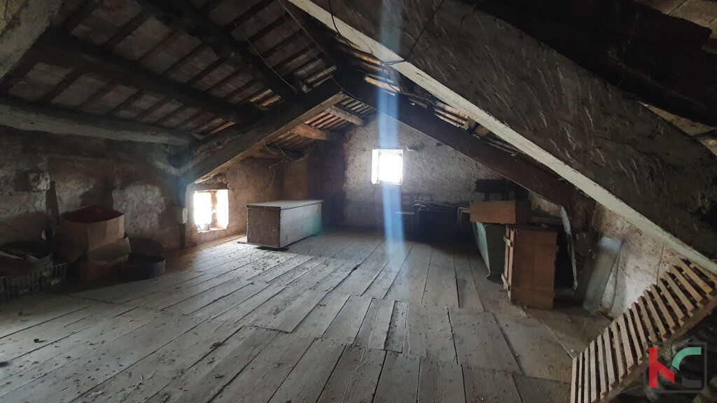 Image 15
