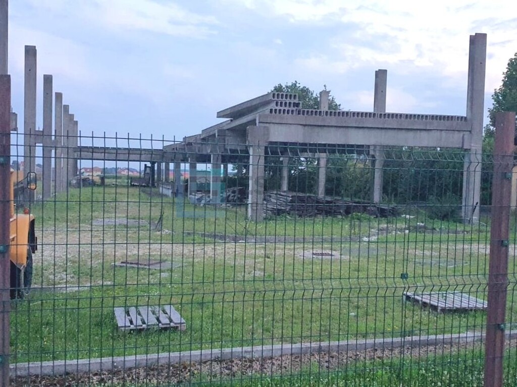Image 8