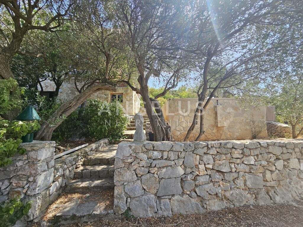Image 6208414 - 9