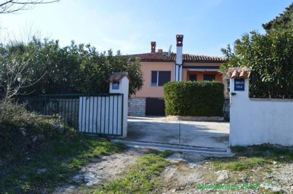 Image 3813384 - 13