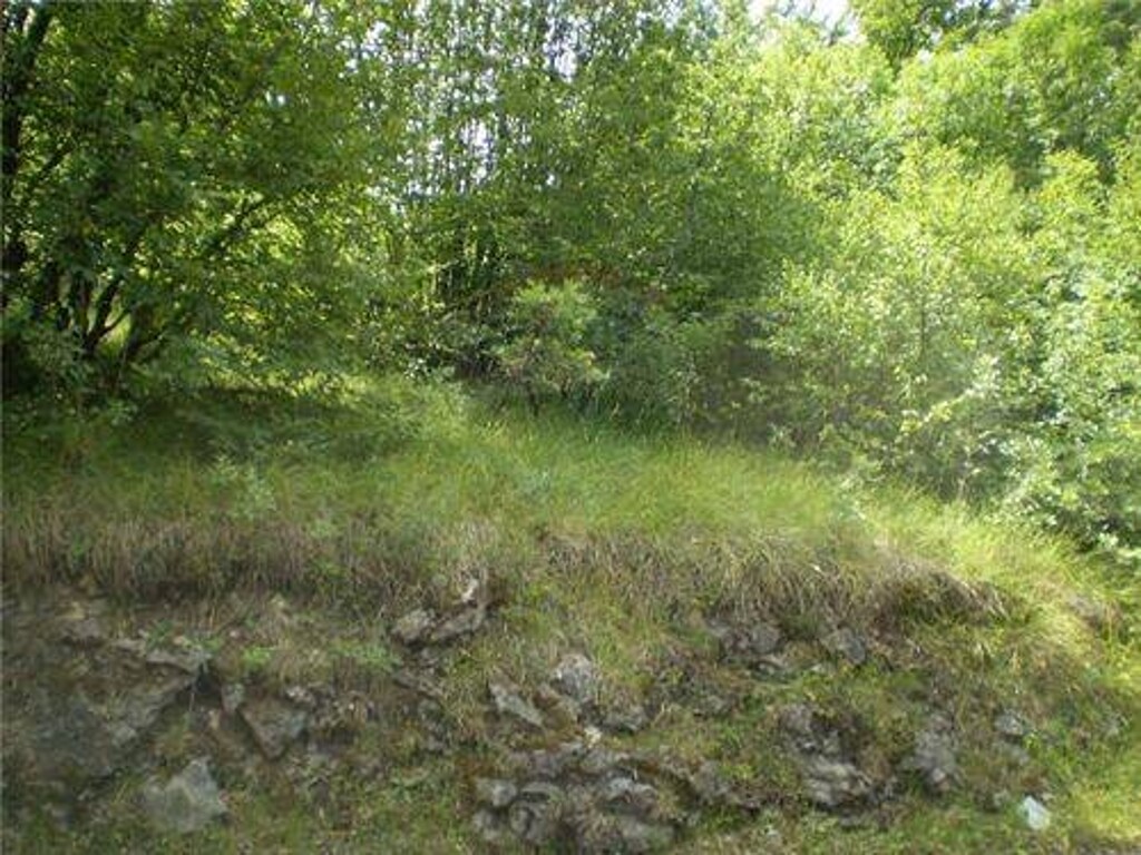 Image 5411422 - 3