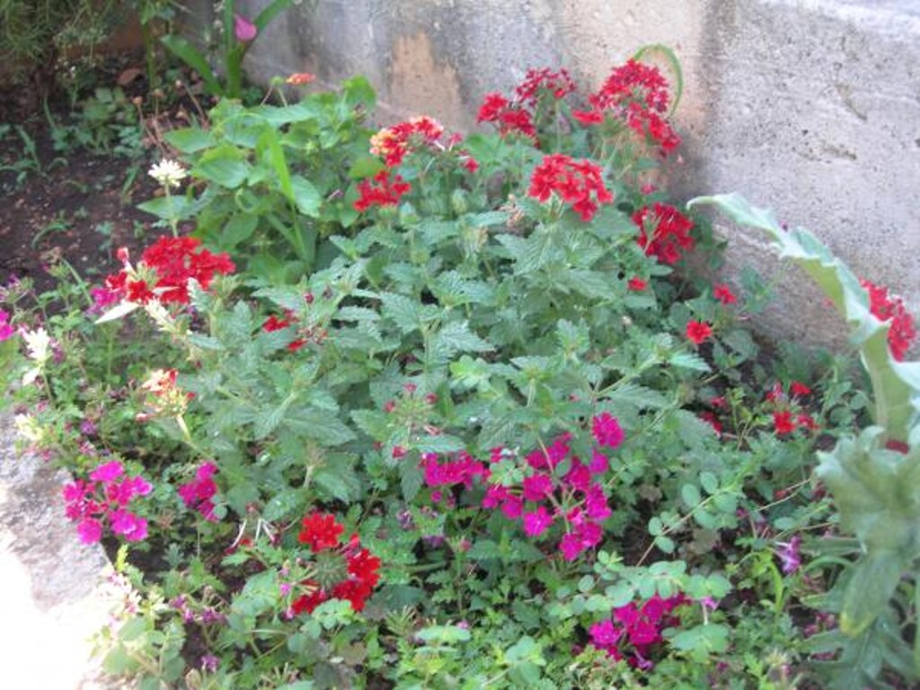 Image 3813917 - 3