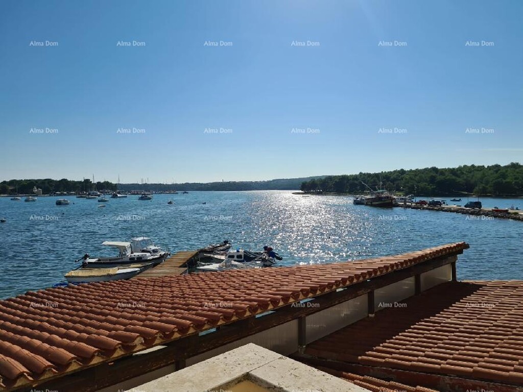 Image 10