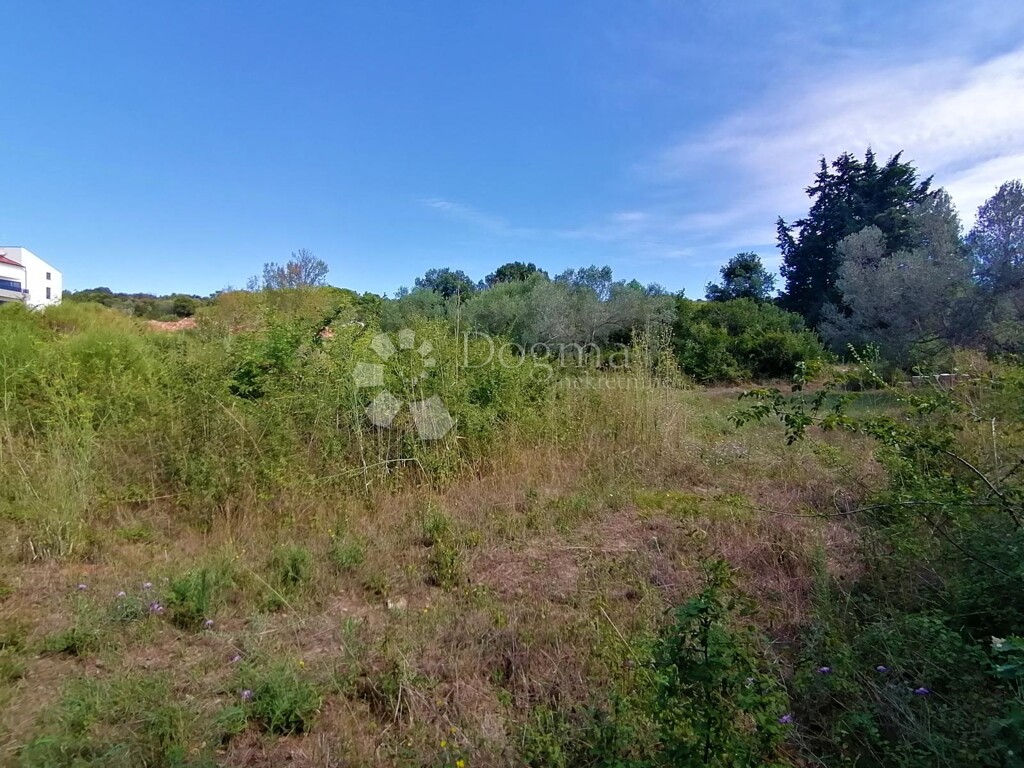 Image 22