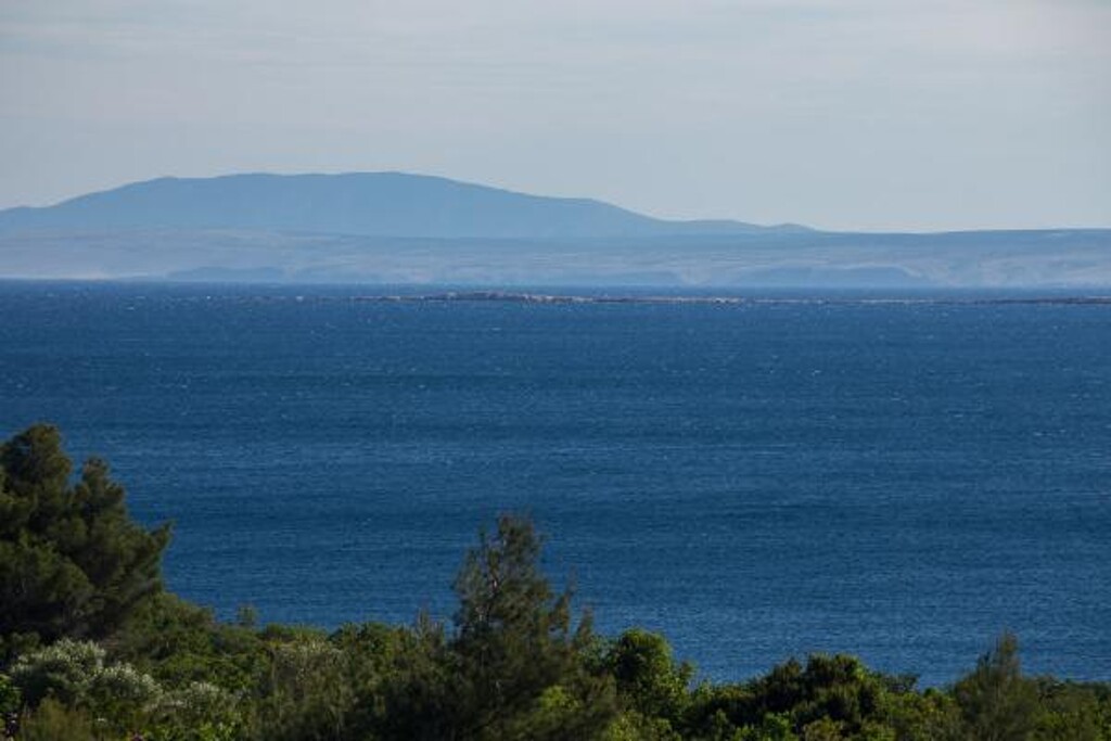 Image 3813023 - 13