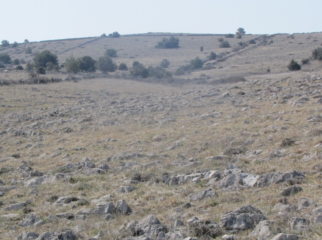 Image 4346578 - 3