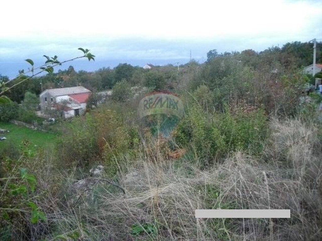 Image 5411267 - 4