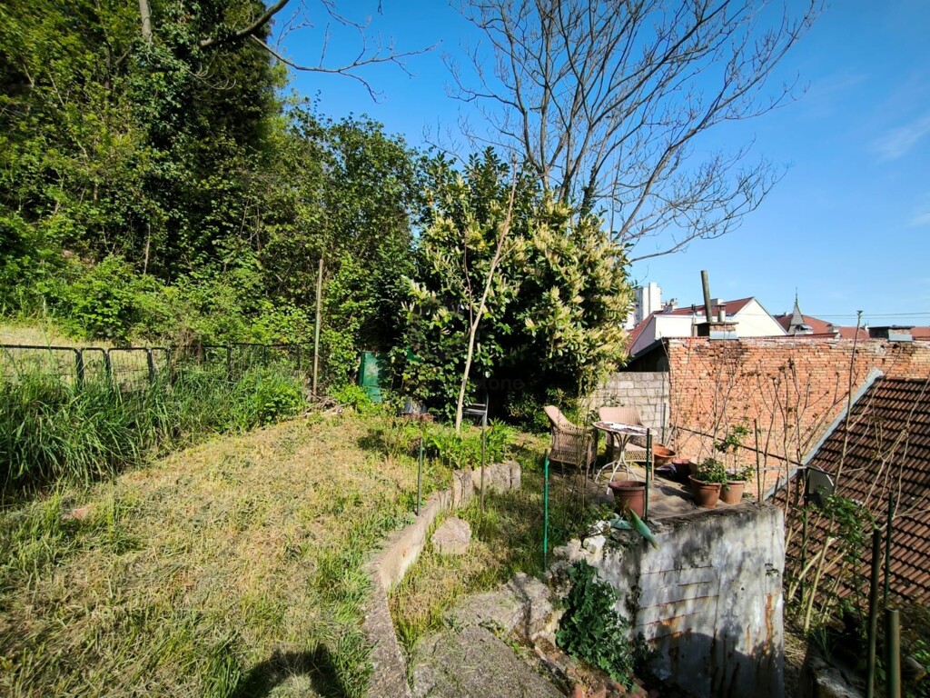 Image 15