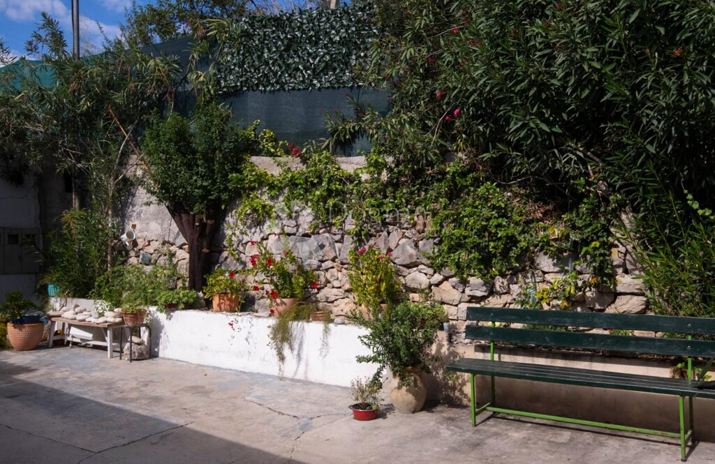 Image 15