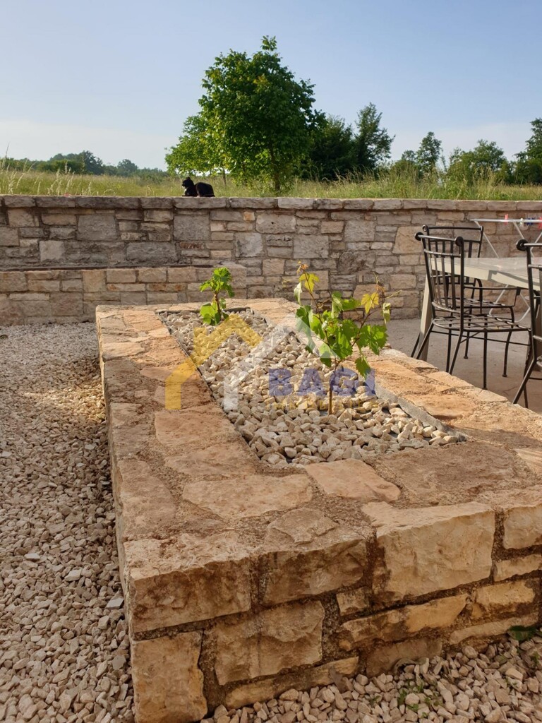 Image 15