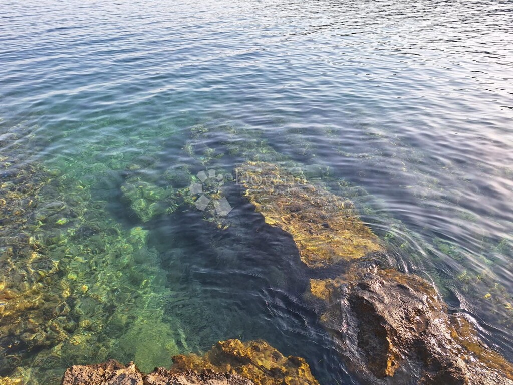Image 22