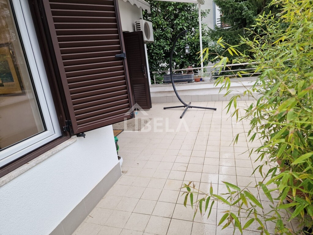 Image 13