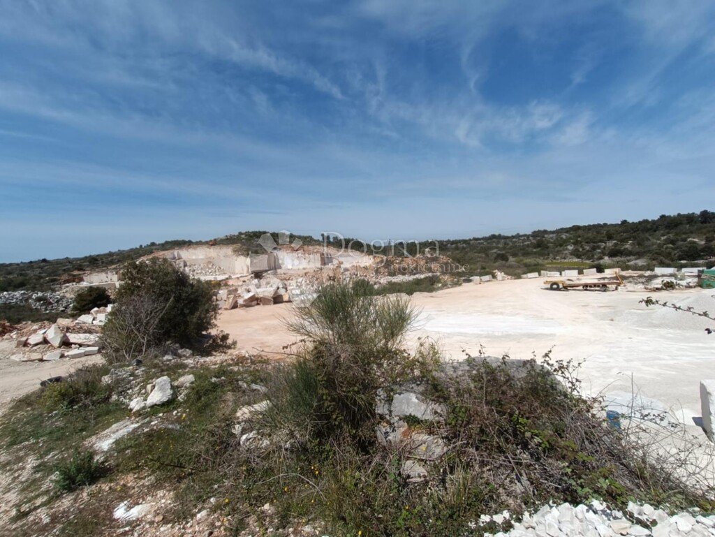 Image 14