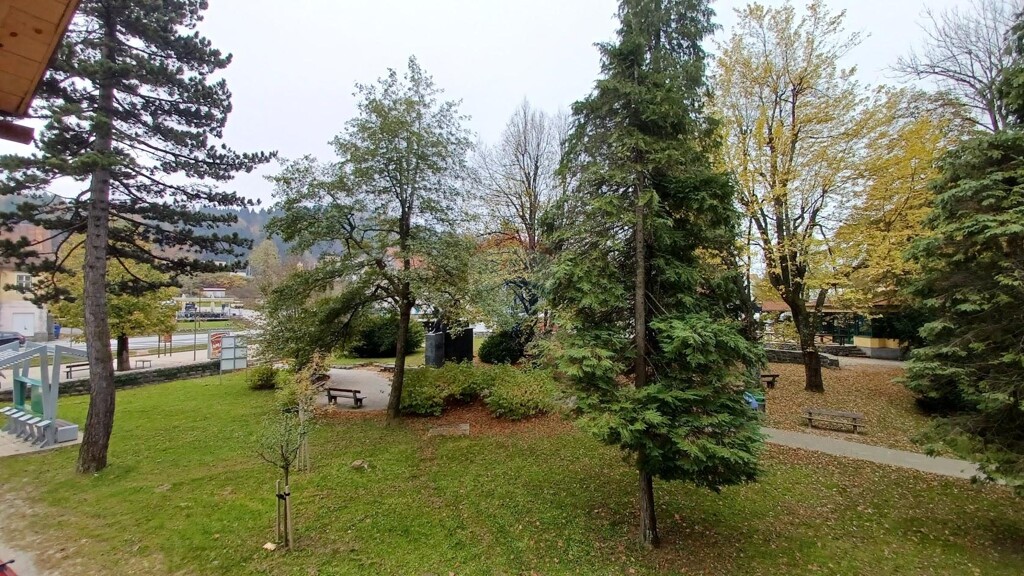 Image 5484654 - 9