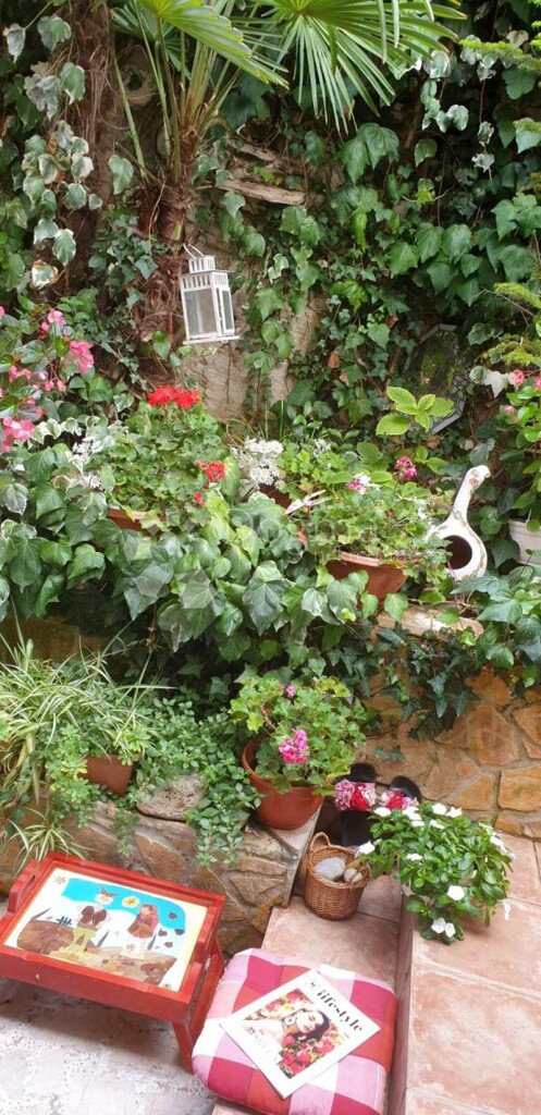 Image 10