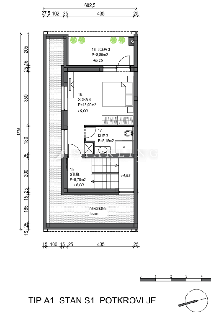 Image 19