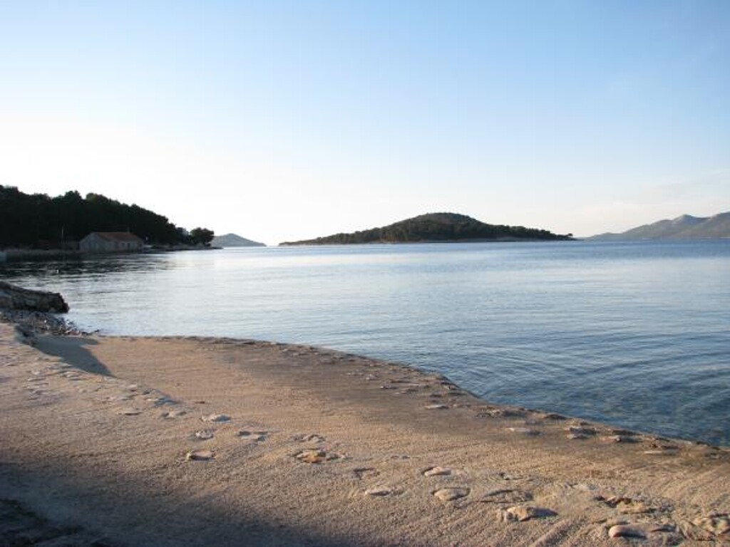 Image 3813331 - 8