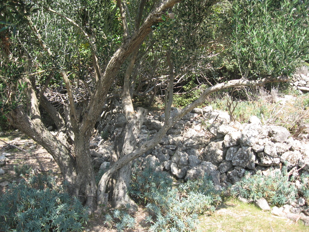 Image 10