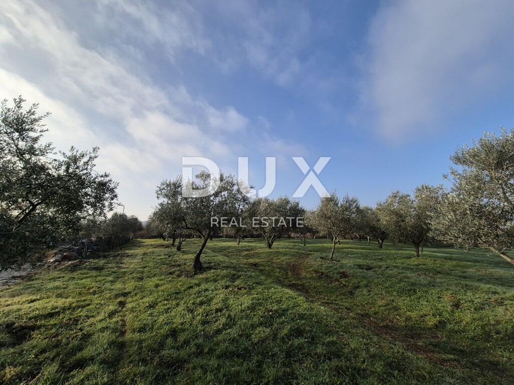 Image 14
