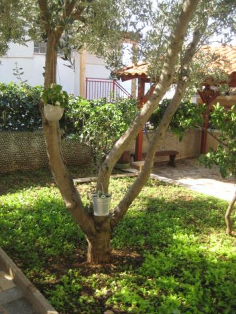 Image 10