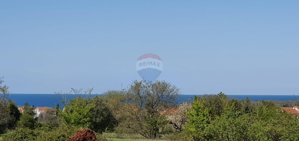 Image 5486182 - 1