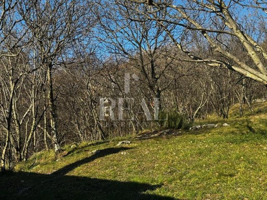 Image 6201887 - 6