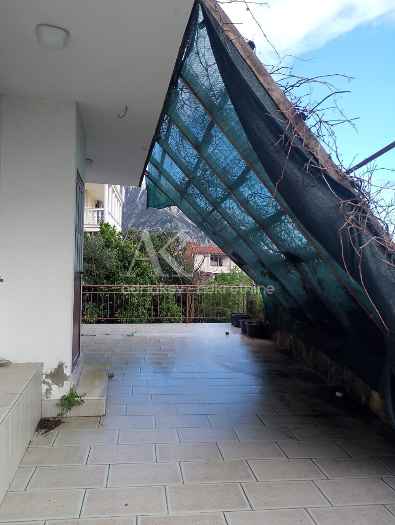 Image 15