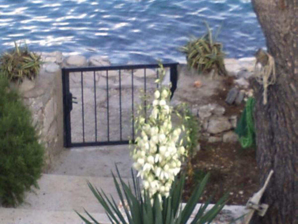 Image 3812301 - 9