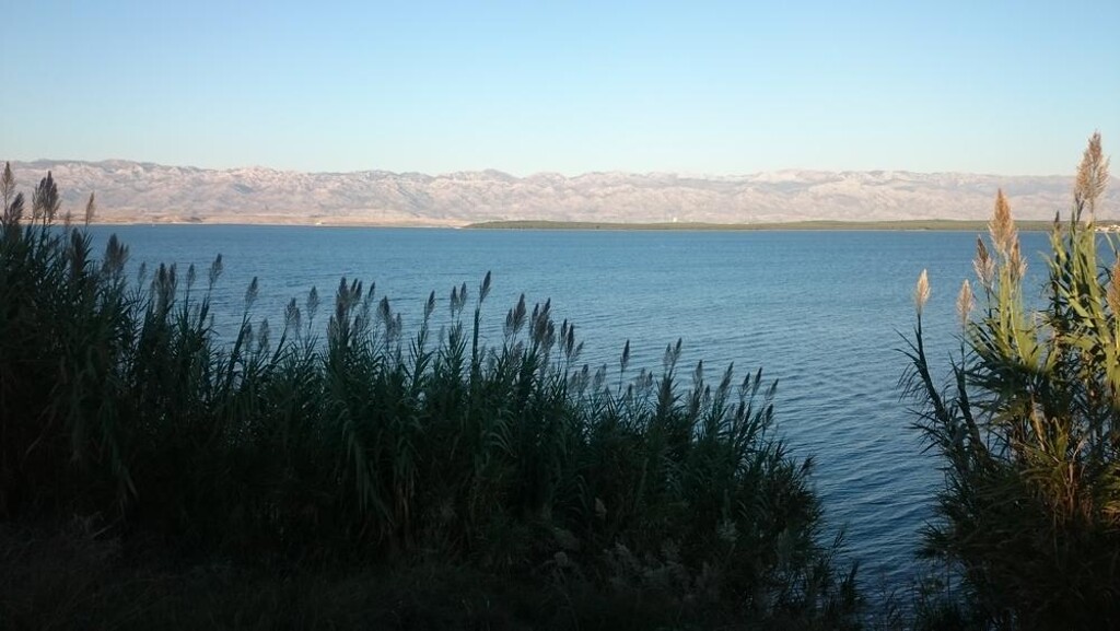 Image 3810608 - 19