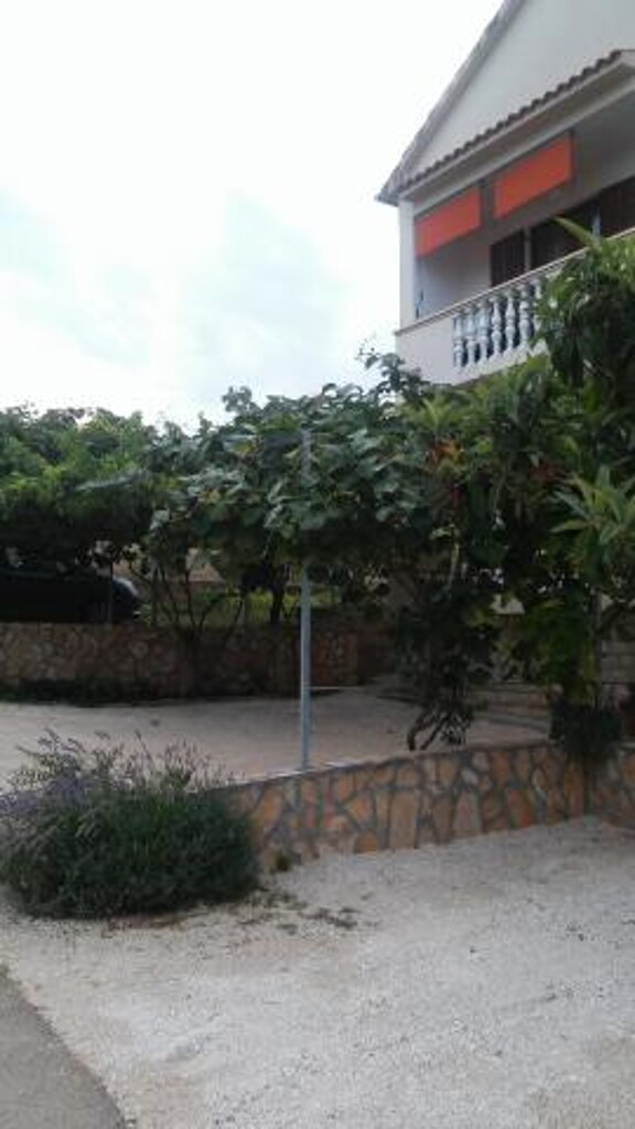 Image 3814078 - 11