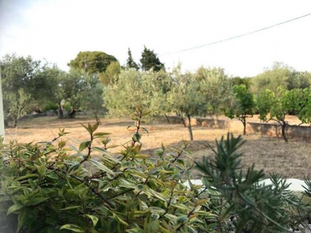 Image 3814258 - 31