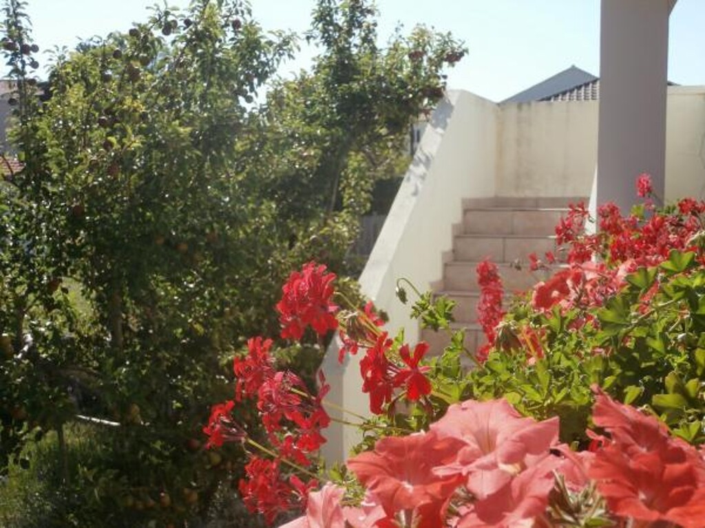 Image 3832240 - 31