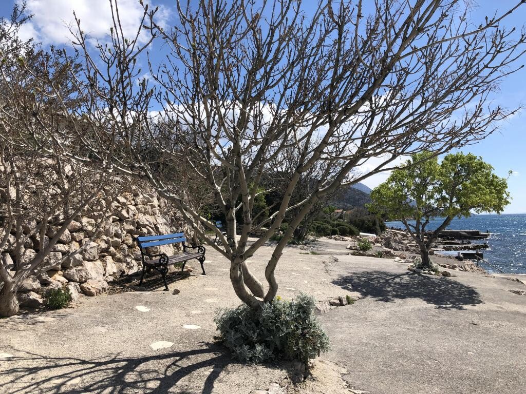 Image 14