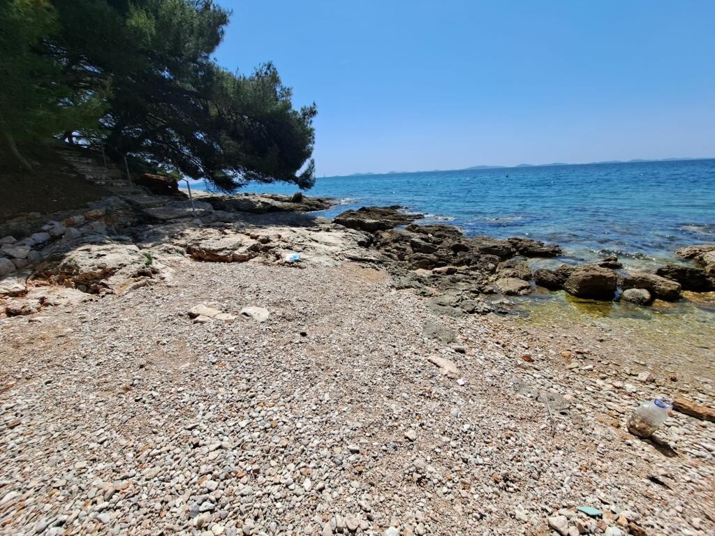 Image 13