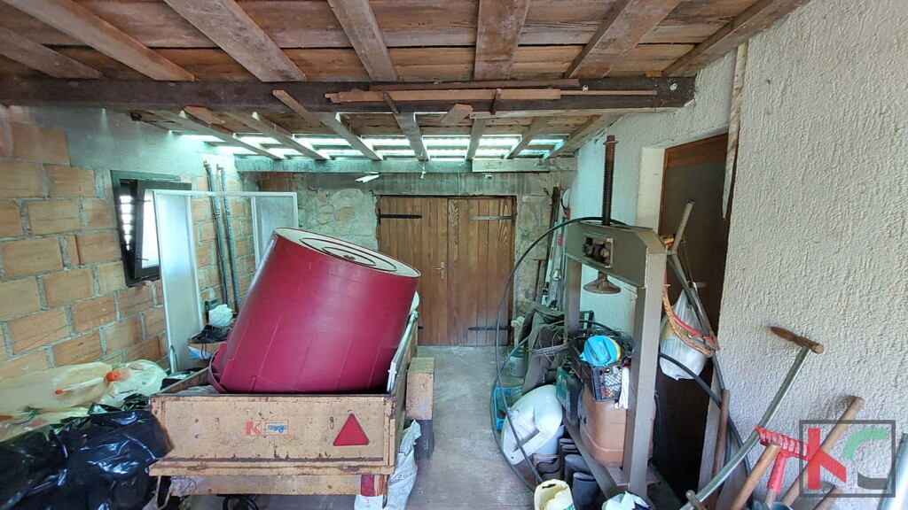 Image 13