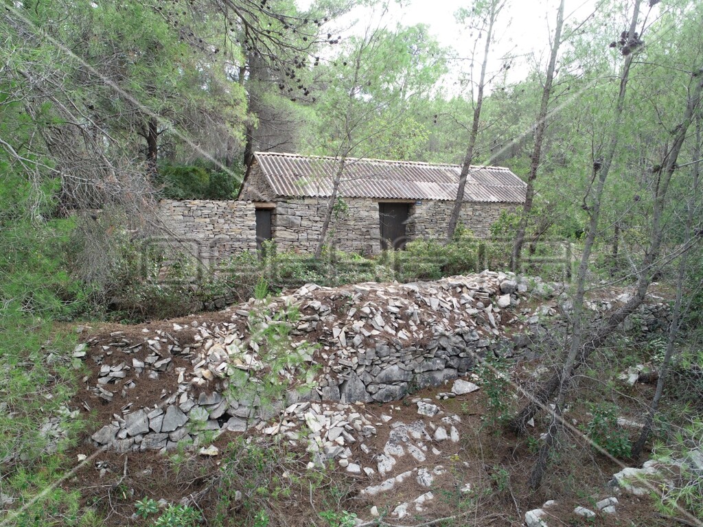 Image 14
